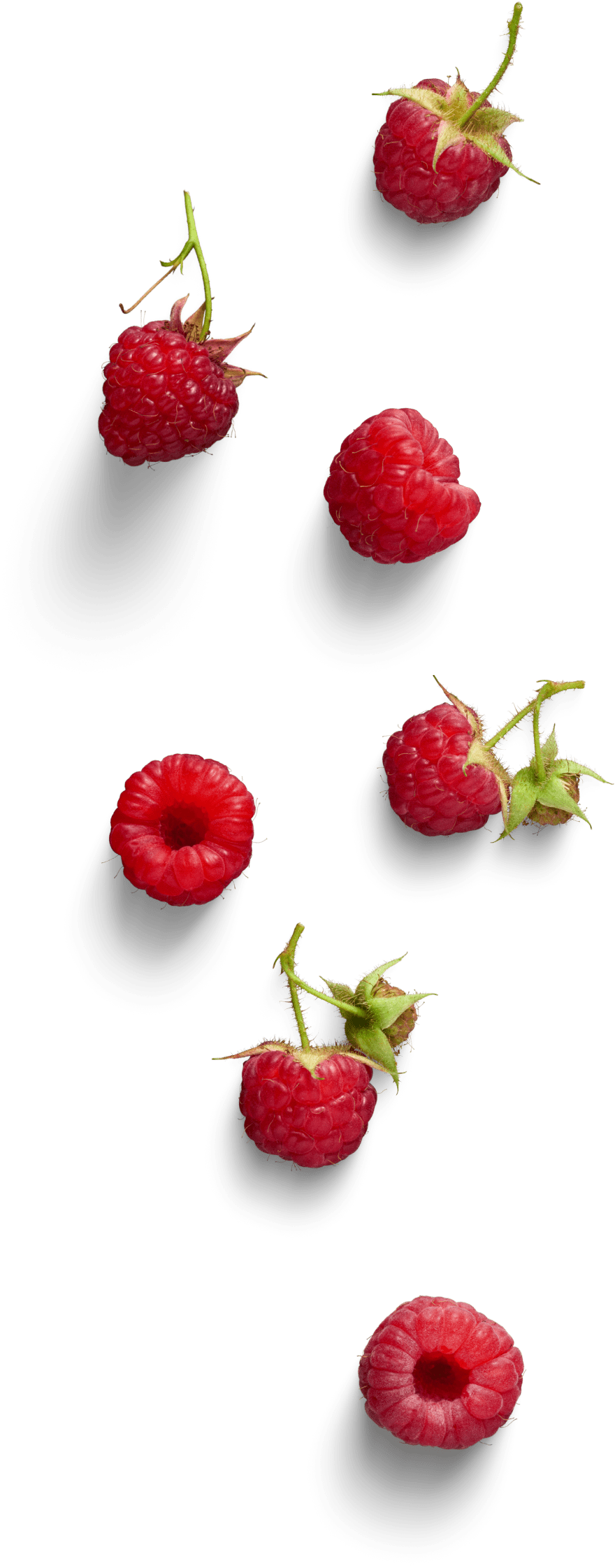 service-fruit